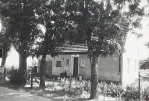 whatsapp image 2024 09 15 at 16.33.14(3)