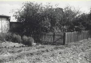 whatsapp image 2024 09 15 at 16.33.14(4)