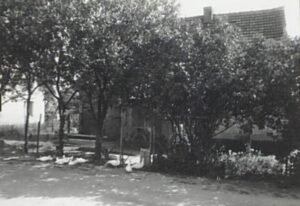 whatsapp image 2024 09 15 at 16.33.15(3)