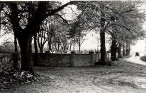 whatsapp image 2024 09 15 at 17.08.19(1)